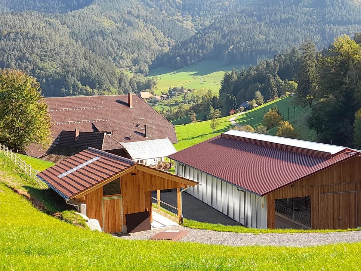Blumbauernhof Villa Gutach Eksteriør billede