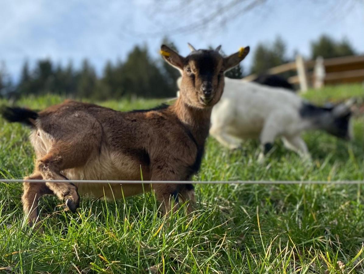 Blumbauernhof Villa Gutach Eksteriør billede